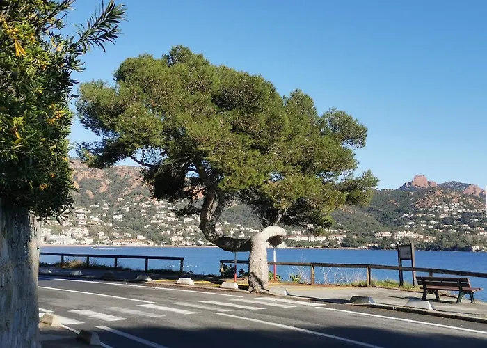 Cap Esterel Climatise Vue Apartament