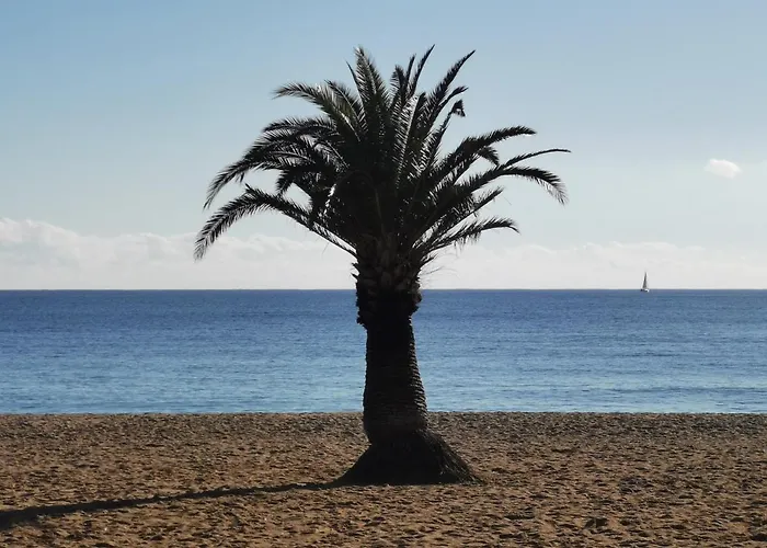 Cap Esterel Climatise Vue * Saint-Raphael (Var)