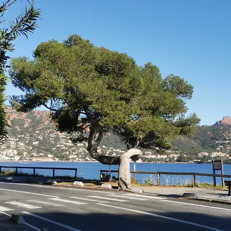 Cap Esterel Climatise Vue Apartmán